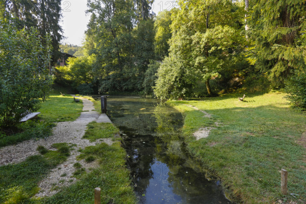 Lauter spring, Große Lauter, karst spring, body of water, park, idyll, meadow, lawn, trees,