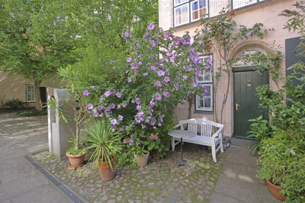 Idyllic Füchtingshof with floral decoration, garden hibiscus, Hibiscus syriacus, benches,