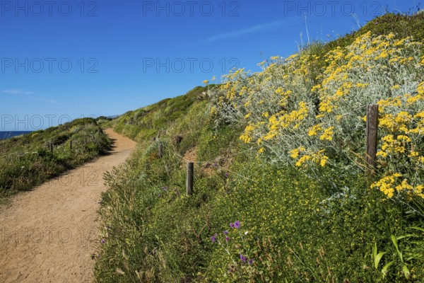Picturesque hiking trail on the coast, Sentier du littoral, Cap Taillat, Saint Tropez, Var, French