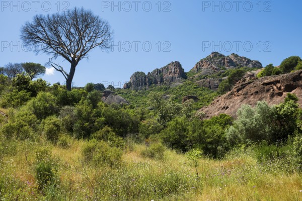Rocher du roquebrune, Roquebrune-sur-Argens, near Saint-Raphaël, Massif de l'Esterel, Esterel