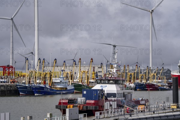 Fishing boats in Beatrixhaven, the seaport of Eemshaven, industrial harbour, at the quay,