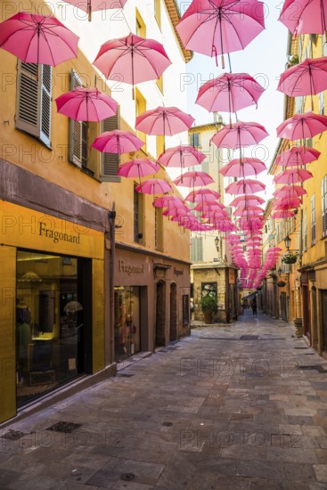 Picturesque alley in the old town, Grasse, Alpes Maritimes, Provence Alpes Cote d'Azur, French