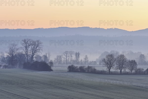 Meadows and trees in the early morning mist in the light of dawn, Reusstal, Aristau, Freiamt,