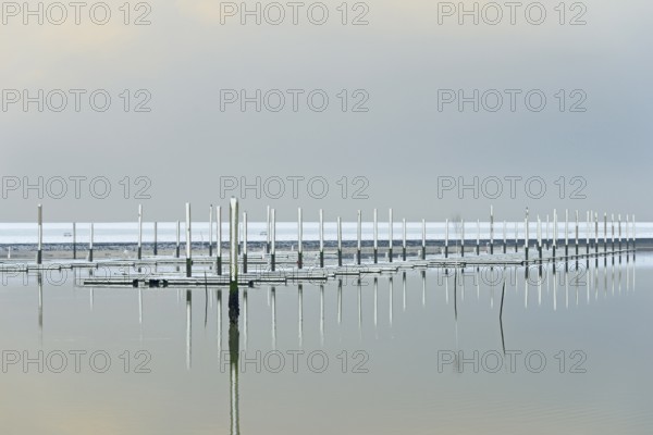 Winter day, onset of winter, snow on the jetties in the marina, North Sea, Norddeich, Lower Saxony,