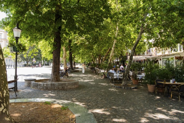 Hviezdoslav Square, promenade with trees, benches and cafés in Bratislava, Slovakia