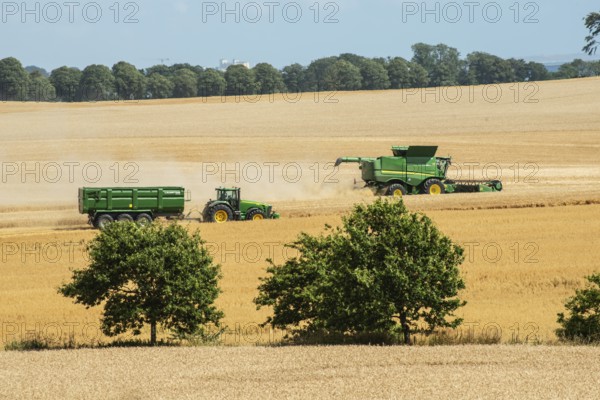 Landscape with threshing of grain with combine harvester at Ystad, Skåne county, Sweden,