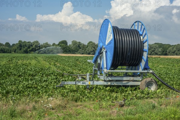Agriculture, artificial irrigation of a field, irrigation system, sugar beet cultivation, Ystad