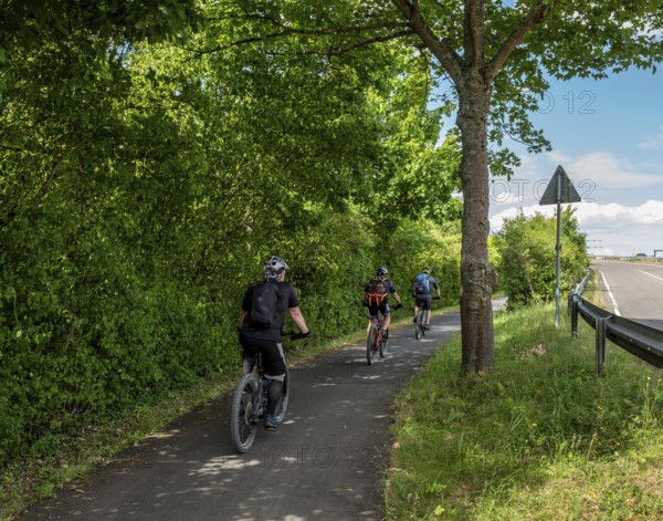 Cyclist on a cycle path between corn fields and trees along the route between Frankfurt am Main and