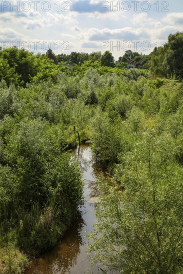 Bottrop, North Rhine-Westphalia, Germany - Renaturalised Boye, the tributary of the Emscher, was