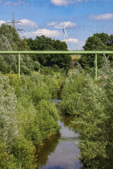 Bottrop, North Rhine-Westphalia, Germany - Renaturalised Boye, the tributary of the Emscher, has