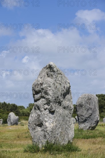 Megalithe, Alignements de Kermario, Carnac, Department of Morbihan, Brittany, France