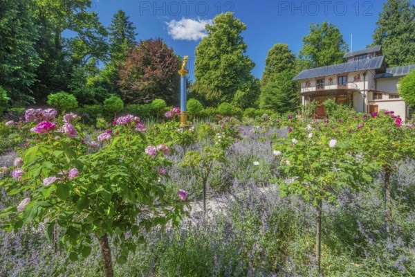 Rosarium with blooming roses in front of the Pompeian-Bavarian Casino on the Rose Island in Lake