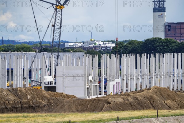 Construction of a new logistics hall on the Mercatroinsel, Hall 2, next to an existing hall, approx