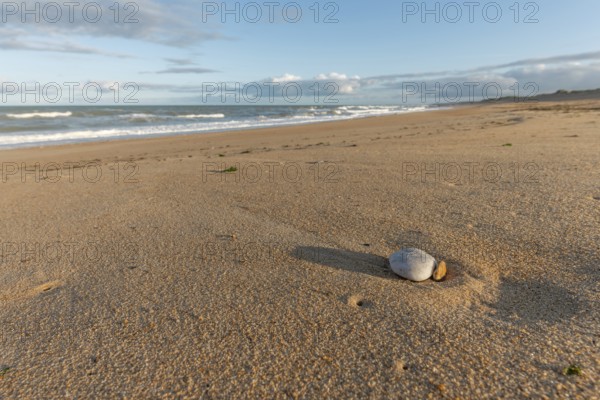 Soft golden sand stretches along the shore as gentle waves lap at the coastline during sunset,
