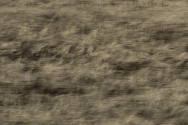 Common reed (Phragmites australis) reeds in a reedbed blowing in the wind abstract image, England,