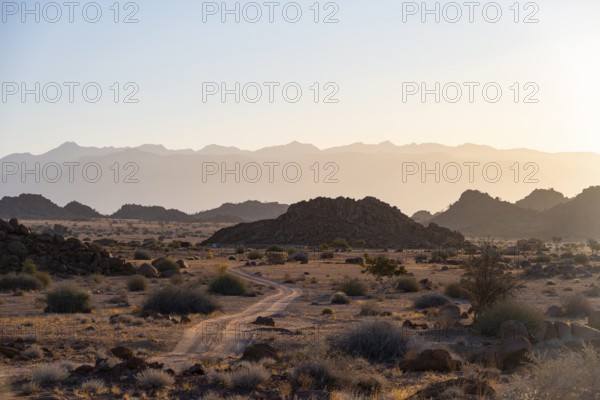 Sandy track, desert landscape in the evening light at sunset, backlit, Brandberg, Erongo,