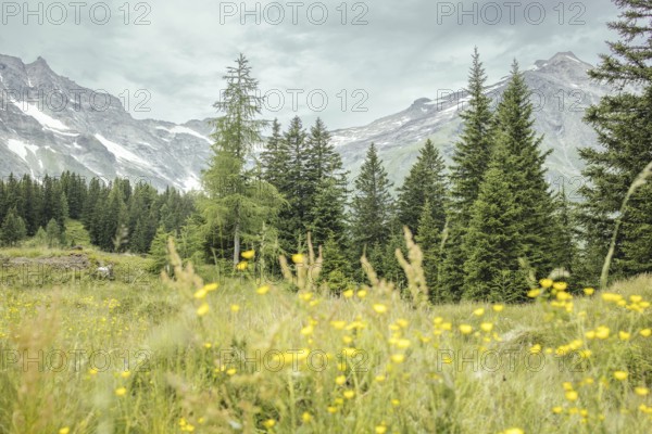 View of Hohe Sonnblick, Kolm Saigurn, Rauris, Pinzgau, Salzburg, Austria