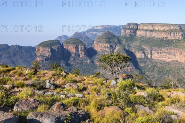 Blyde River Canyon with Three Rondawels peak, view of canyon and table mountains, canyon landscape,