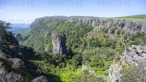 Rock needle in a densely forested canyon, Pinnacle Rock, view over canyon landscape, near Graskop,