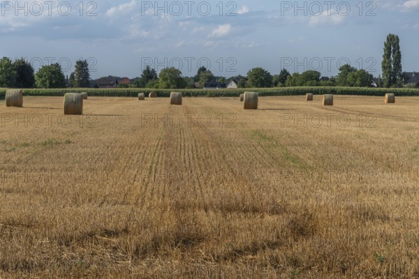 Large round barns are scattered across a golden field, framed by vibrant green trees under a partly