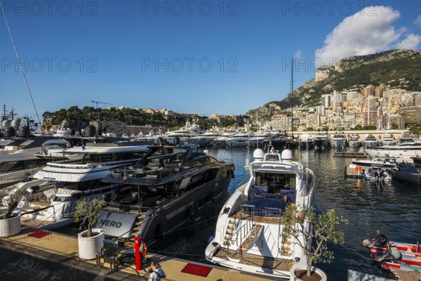 Harbour with luxury yachts, Monte Carlo, Cote d'Azur, Monaco
