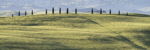 Landscape at sunrise around Pienza, Val d'Orcia, Orcia Valley, UNESCO World Heritage Site, Province
