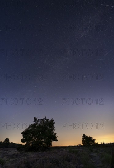 Mehlinger Heide at night, night sky with stars, Milky Way, Perseids and shooting stars. Mehlinger
