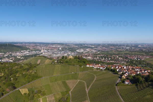Aerial view of a vineyard with a view of a town and industrial plants in the background, view of