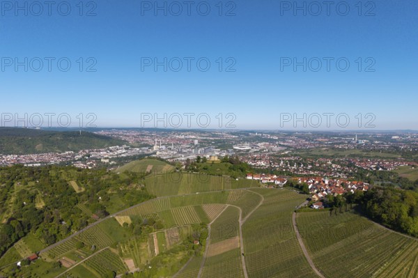 Extensive vineyards in front of an urban backdrop under a clear sky, view of Rotenberg near