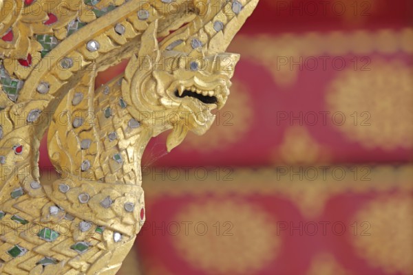 Golden dragon with ornaments and jewellery at the Siamese Sala-Thai I temple, Asian, detail, dragon