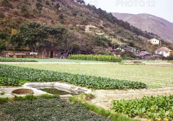 Farmland countryside, Tai Tei Tong village, Silver Mine Bay Mui Wo, Lantua Island, New Territories,