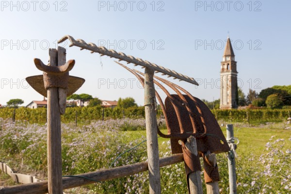 Garden and garden tools on the island of Mazzoboro, Venice, Veneto, Italy
