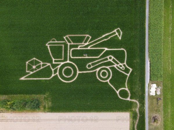 The maize maze of the Maize Spirits near Weißkirchen, near Frankfurt am Main, shows a combine