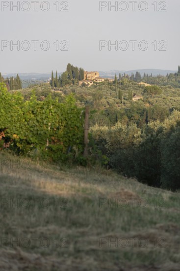 Tuscan country house perched on a hill surrounded by cypresses, olive groves and vineyards, San