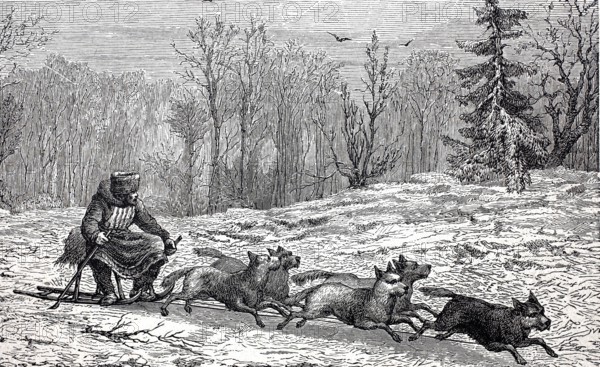 Dog team, dog sled in Northern Europe, digitally enhanced reproduction of a 19th century model,