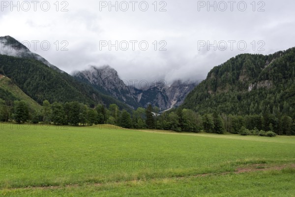 Green meadow against a mountain backdrop with clouds and wooded slopes, Zgornje Jezersko,