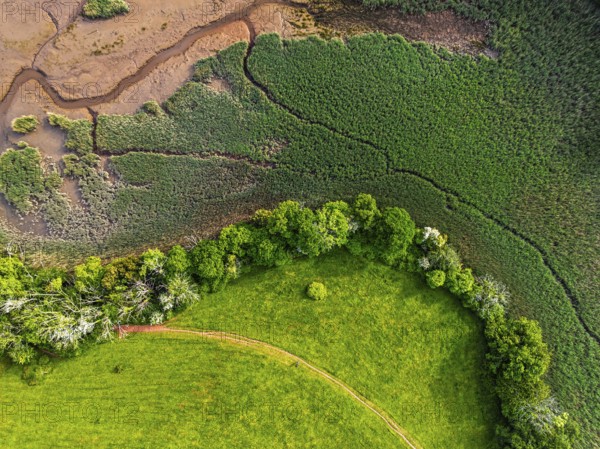 Top Down over Marshes over River Dart from a drone, Stoke Gabriel, Totnes, Devon, England, United