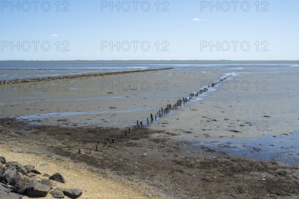 Wadden Sea at low tide, groynes, breakwater, Schleswig-Holstein Wadden Sea National Park, Pellworm
