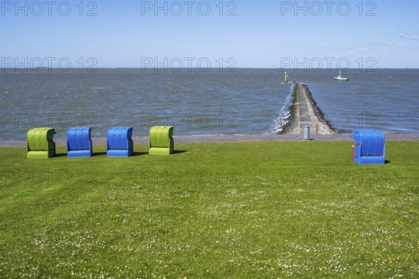 Beach chairs on a blooming meadow on the North Sea coast, Grünstrand, Pellworm Island, North Sea,