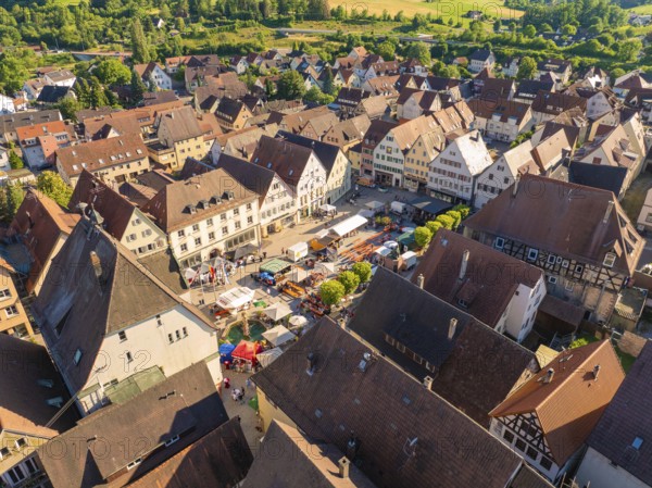 Aerial view of a village with red roofs and green surroundings in sunny summer light, 950 years