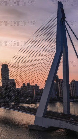 Panoramic view of Erasmus Erasmusbrug bridge in Rotterdam . Financial business district skyline