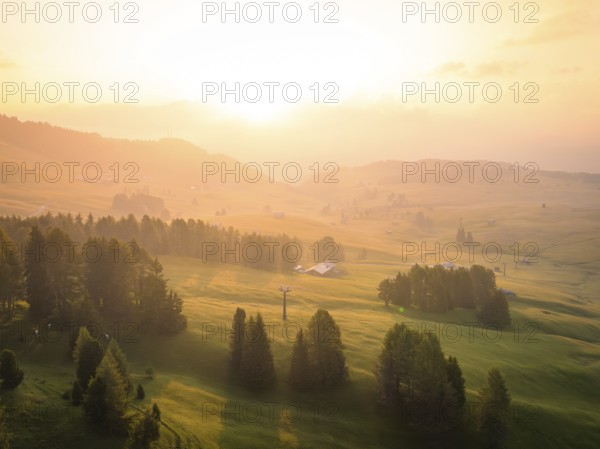 Trees and sunshine on a hilly landscape in a peaceful atmosphere, Alpe di Siusi, Dolomites, South