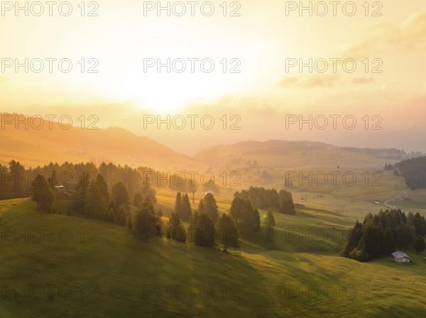 Wide, green landscape with trees and hills in the soft light of the sunrise, Alpe di Siusi,