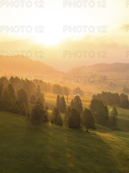 Dreamy sunrise mood with forests and mountains in the distance, Alpe di Siusi, Dolomites, South