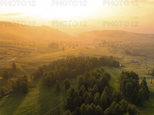 Wide valley view with trees in the warm light of the golden hour, Alpe di Siusi, Dolomites, South