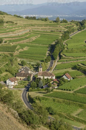 Het uitzicht toont een schilderachtig dorp omringd door uitgestrekte wijngaarden op de heuvels, met