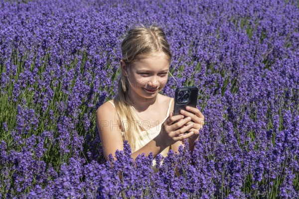 Blonde girl, 9 years old, photographing blooming lavender with a mobile phone in Köpingebro, Ystad