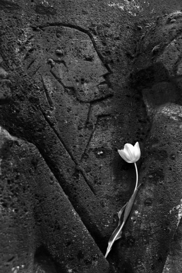 Bittermark memorial, memorial site, detail with tulip for the memorial service on Good Friday,