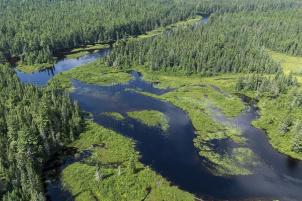 Lake and islands with vegetation, Boreal forest, Mastigouche wildlife reserve, Region of La