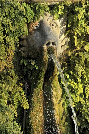 Gargoyles, Avenue of a Hundred Fountains, Viale delle Cento Fontane, Renaissance garden of the